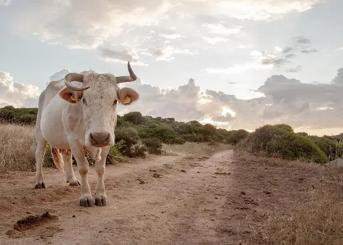 La Casa Di Memmi & Casa de hóspedes Santa Teresa Gallura